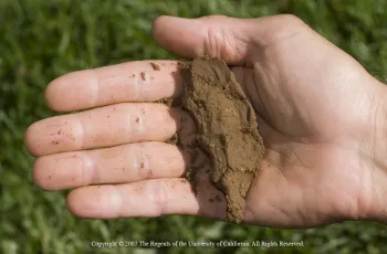 Medium-textured soil retains water and nutrients the best. Jack Kelly Clark, UC IPM