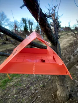 Delta trap with visible pheromone plug and card