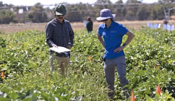 Dry Bean Field Day 2025