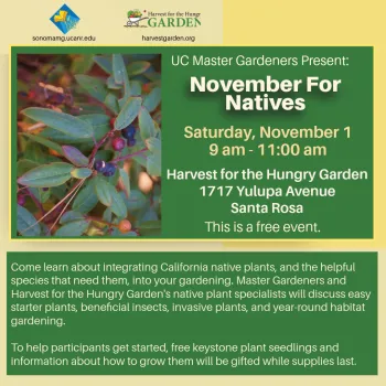 Informational talk about California native plants