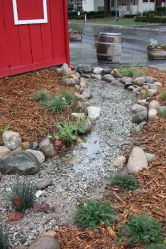 Photo of a creek style rain garden.