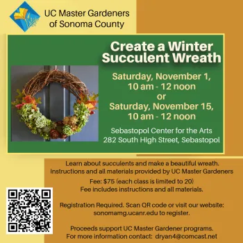 Learn how to make a succulent wreath for winter