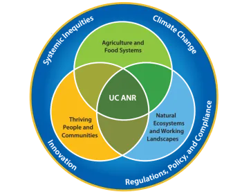 Strategic Vision Graphic - 3-Circle Venn Diagram of how UC ANR goals connect. Blue, green, and yellow colors and text.