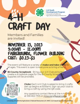 4-H Craft Day