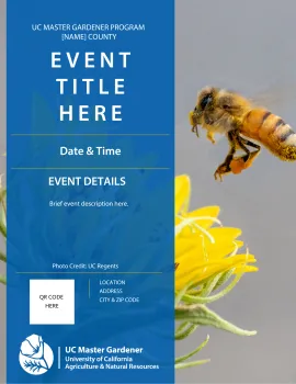 Event Promotion Flier with Bee and sunflower