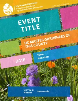 Event promotion flyer with wildflowers