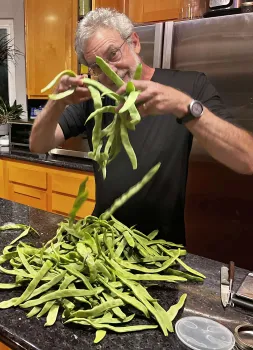 Henry Shaw holding a few of many green and long (6-8 inch) bean pods. 