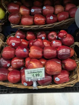 Red Delicious Apples. Tim Long figure.jpg