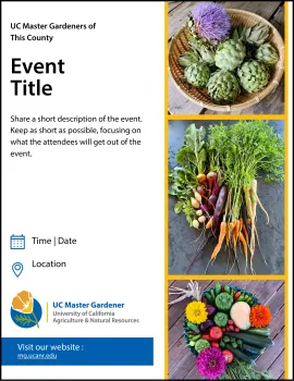 Event promotion flyer with multiple images