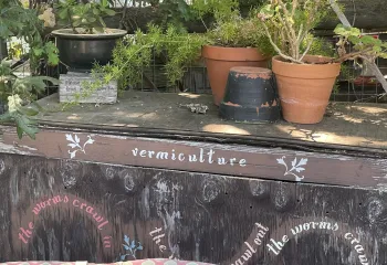 Learn about sustainable gardening in Windsor