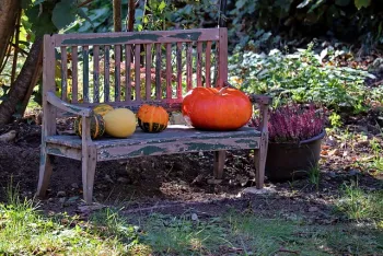 A comfortable looking, weathered bench in a garden.