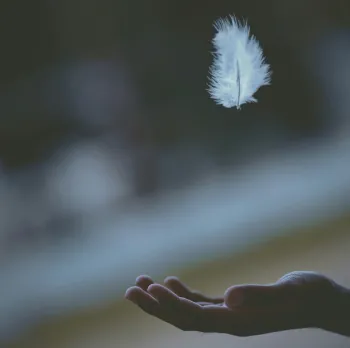 Feather falling toward hand