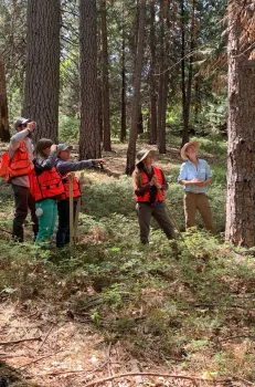 Group of people wearing orange vests stand in a forest.