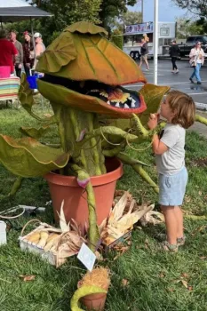 A young child investigates Audrey, the giant, talking, animatronic carnivorous plant