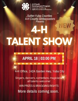 4-H Talent Show
