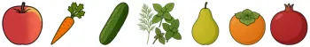 Apple Carrot Cucumber Herb Pear Persimmon Pomegranate Fruit.png