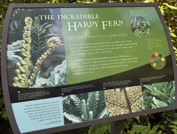 Fern signage at Bellvue Botanical Gardens in Seattle.