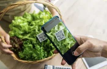 Tracking fresh lettuce source with QR code