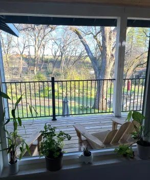 Parsley sharing space with other houseplants on a window sill. Debi Durham