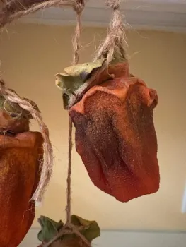 Ready to eat dried persimmon