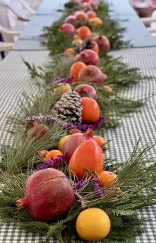 Winter in the Three Sister's Garden MG Madera