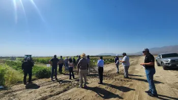 Group of people standing looking at green field