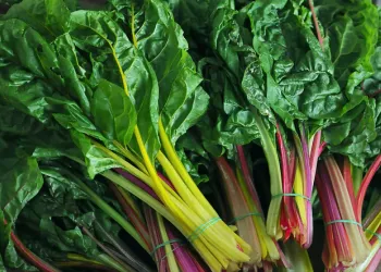 Swiss chard