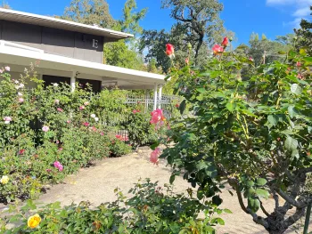 Marin Art and Garden Center in Ross