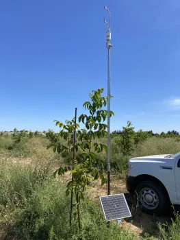 A tall device powered by a solar panel sits between a white pickup truck and a small, leafy walnut tree. 