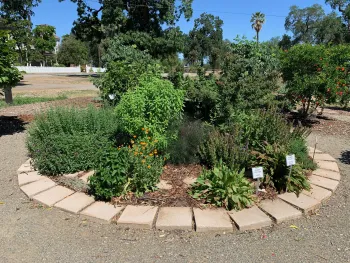Group plants with similar sun and water requirements together, like these herbs at the Demo Garden. Laura Kling