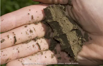 Coarse-textured soil, dry. UC ANR