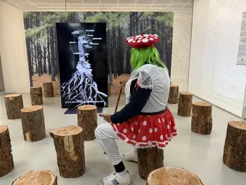 Matteo, dressed as a toadstool, sits on a tree stump looking at the art exhibit he co-created.
