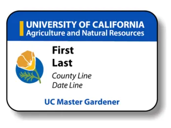 Example of a UC Master Gardener Volunteer white Name badge 