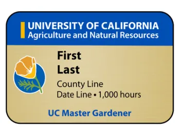 Example of a UC Master Gardener Gold Volunteer Name badge 