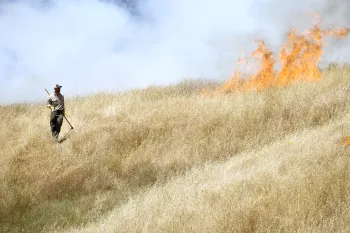 Person implementing a prescribed burn in a grassland. They are holding a drip torch and hand tool while walking away from flames.