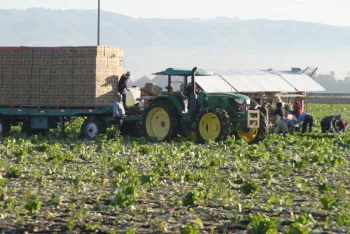 Tractor and field workers