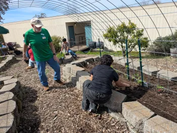 UC Master Gardener volunteer Curt Juran helps students plant vegetables at Auburn Elementary