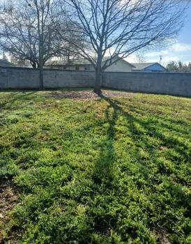 Photo of a large, flat, green field with trees and a neighborhood at the edge.