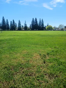 Photo of a large, level, green field flanked by a neighborhood with many trees in the distance.