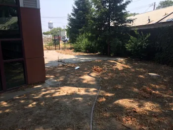 Photo of part of the space before the Teaching Garden was created.