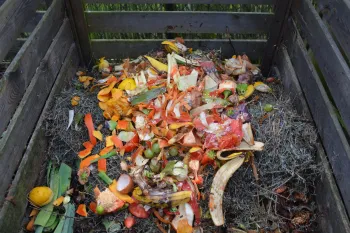 Photo of food scraps in a compost bin.