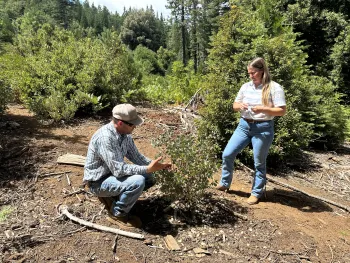 A grazier and veterinarian discussing targeted grazing treatment objectives in a mixed-conifer forest.