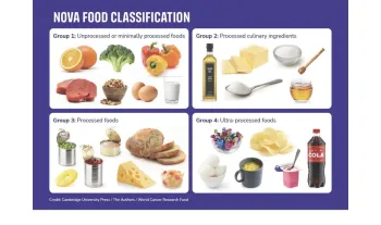 Graphic listing examples of foods falling within the 4 categories of Nova classification