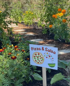 Pizza and salsa garden with stepping stones