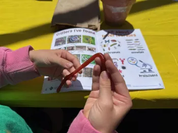 Child holding a model worm