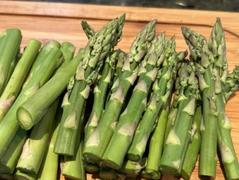 asparagus, cut to fit in a pint jar, sits on a cutting board ready to be processed