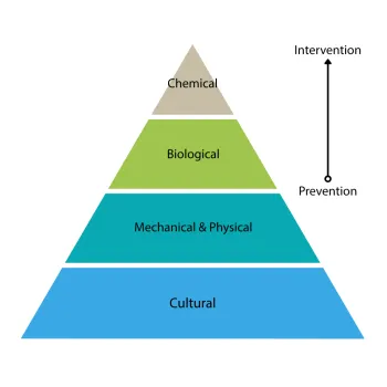 Pyramid diagram showing the prioritization of IPM strategies. The largest section at the base represents prevention strategies, progressing upward toward the smallest section representing intervention strategies. From bottom to top, the sections are labeled: cultural, mechanical and physical, biological, and chemical.