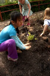 children planting flowers and vegetables in a school garden