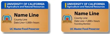 2026 Style C Badges - Gold Badge