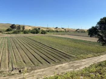 Photo: UCCE Small Farms team visiting with a small-scale farmer in San Benito County to discuss SGMA and low pressure concerns on the lower end of their field 